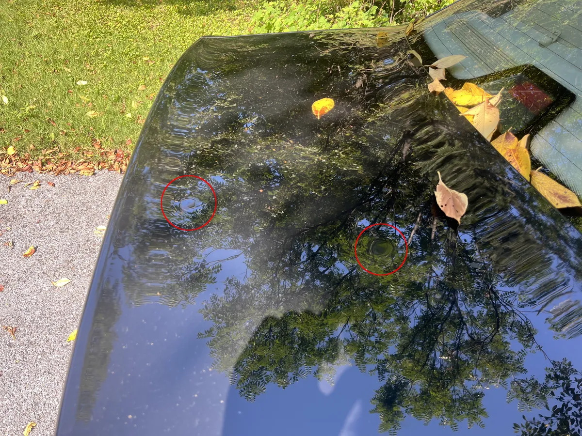 Paintless Dent Removal — 1